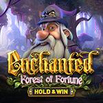 Enchanted: Forest Of Fortune - Hold & Win Enchanted: Forest Of Fortune - Hold & Win