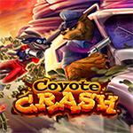 Coyote Crash Coyote Crash