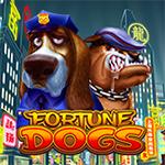 Fortune Dogs Fortune Dogs
