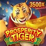 ProsperityTiger ProsperityTiger
