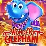 Wonder Elephant Wonder Elephant