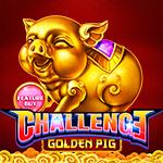 Feature Buy.Golden Pig Feature Buy.Golden Pig