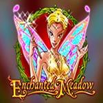 Enchanted Meadow Enchanted Meadow