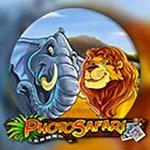 Photo Safari Photo Safari