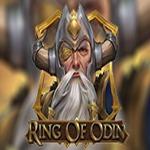 Ring Of Odin Ring Of Odin