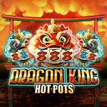 Dragon King Hot Pots Dragon King Hot Pots