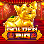 Golden Pig Golden Pig