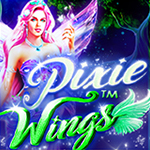 Pixie Wings Pixie Wings