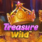 Treasure Wild Treasure Wild