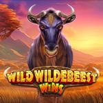 Wild Wildebeest Wins Wild Wildebeest Wins