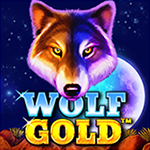 Wolf Gold Wolf Gold
