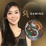 SA Dragon Tiger SA Dragon Tiger