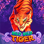 Wild Wild Tiger Wild Wild Tiger