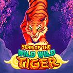 Year Of The Wild Wild Tiger Year Of The Wild Wild Tiger
